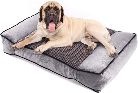 Pecute Doppelseitiges Hundebett 102 69 20 Cm Haustier Hundekorb Mit