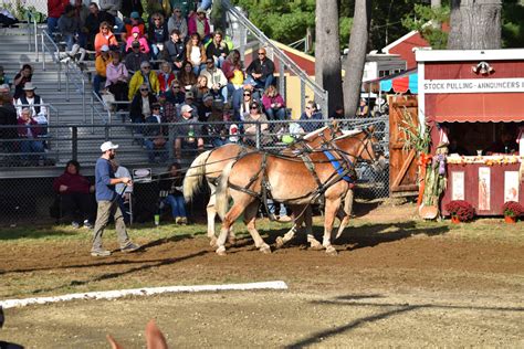 Deerfield Fair Deerfield New Hampshire Gallery