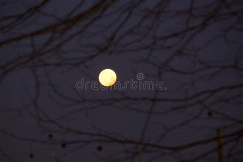 The Full Moon Europe France Stock Photo Image Of Astronomical