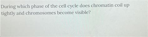 Solved During which phase of the cell cycle does chromatin | Chegg.com