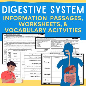 Digestive System Human Body Science Informational Ela Passages