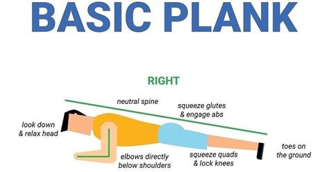 Mr Suarez S Physical Education Blog How To Perform The Basic Plank