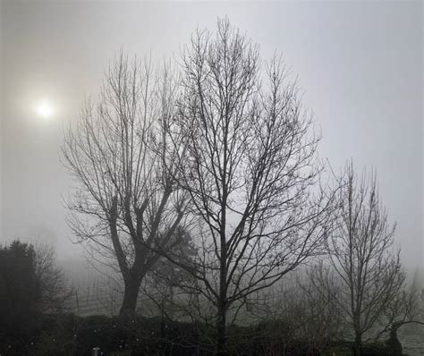 Foto Meteo Nebbia A Reggio Emilia Sud 3B Meteo