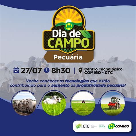 Comigo promove 1º Dia de Campo para pecuaristas SISTEMA OCB GO