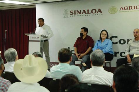 Sembrar N En Sinaloa M S De Mil Hect Reas Durante El Ciclo Agr Cola