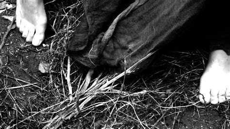 pewma teaser difusion youtube