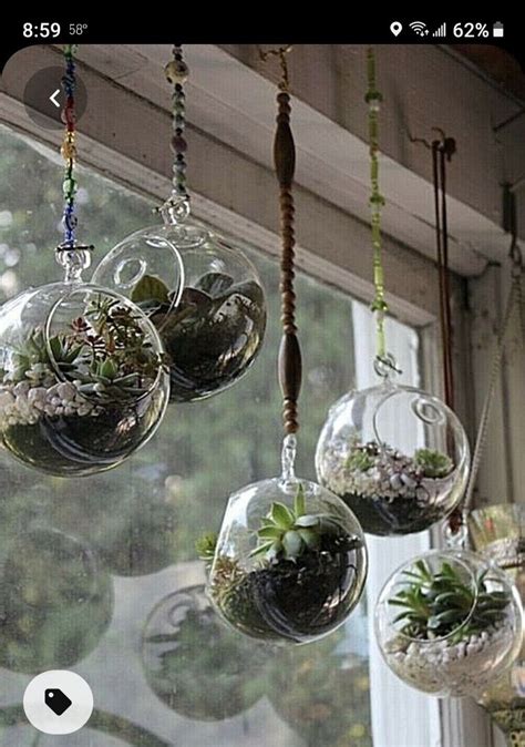 Several Hanging Glass Vases Filled With Plants On A Window Sill