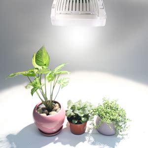 Sansi W Lampade Led Per Piante Spettro Completo Luce Di Coltivazione