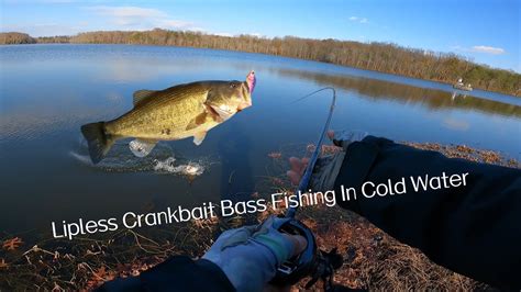 Lipless Crankbait Bass Fishing In Cold Water Deep Water Fishing YouTube