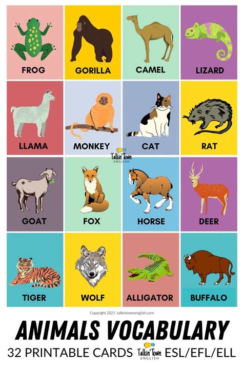 Printable Animal Flashcards English Language Resource Pdf Animal