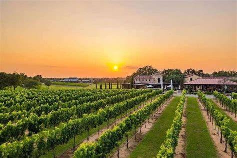 Fredericksburg Wine Tasting 10 Best Wineries To Visit