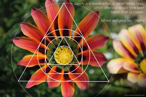 The Secrets Of Interconnectedness Sacred Geometry In Nature