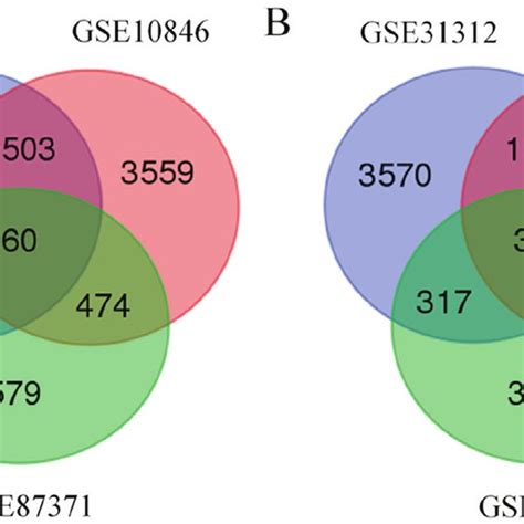 Identification Of B Cell Translocation Gene Associated Genes A