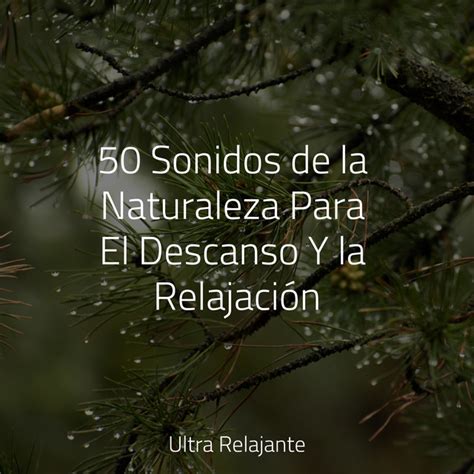 50 Sonidos De La Naturaleza Para El Descanso Y La Relajación Album By