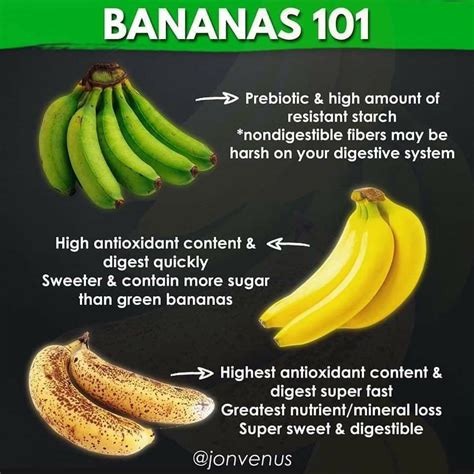 Why Is Eating Bananas Bad For You At Albert Streets Blog