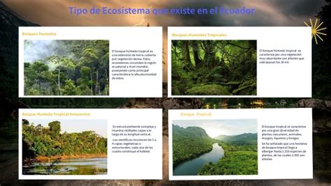 Bosques Húmedos