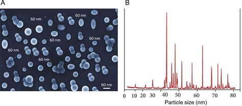 Figure 3 From Diagnosis Of Toxoplasmosis Using Surface Antigen Grade 1 Detection By Elisa Nano