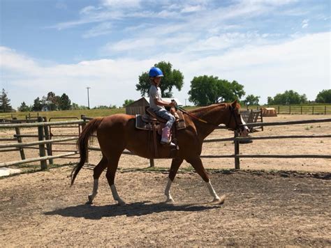 Saturday Equestrian Club