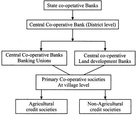 The Structure Of Cooperative Banks Sarthaks Econnect Largest Online Education Community