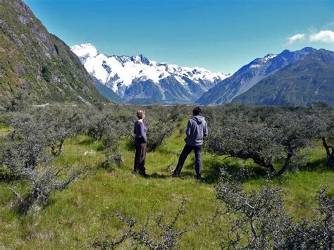 Hiking Mt Cook National Park New Zealand | Hiking Biking Adventures