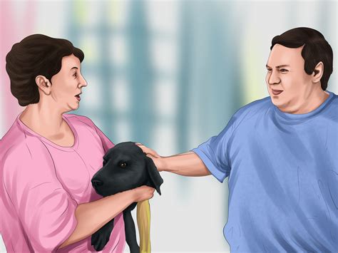 How to Rehome an Older Dog: 15 Steps (with Pictures) - wikiHow