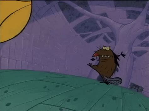 Daggett Doofus Beaver GIFs - Get the best GIF on GIPHY