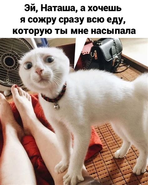 А всё уже... | Пикабу