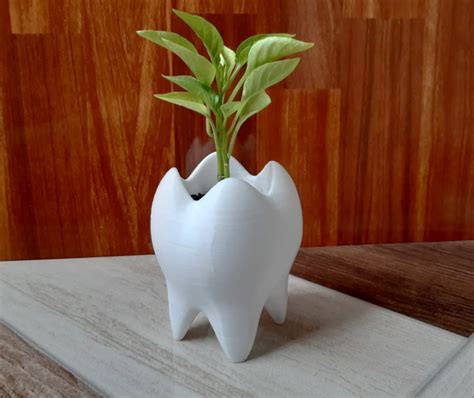 Stl File Tooth Pot Tooth Vase 🦷 ・3d Printing Design To Download・cults