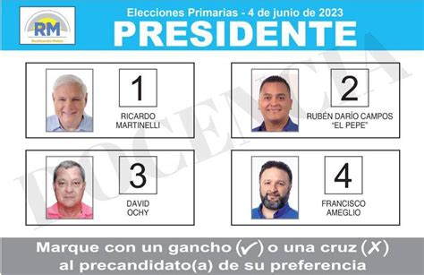 Más De 234 Mil Electores Están Habilitados Para Votar En La Primaria