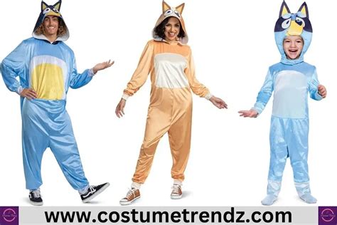 Buy The Best Bluey Costume And Types » Costume Trendz