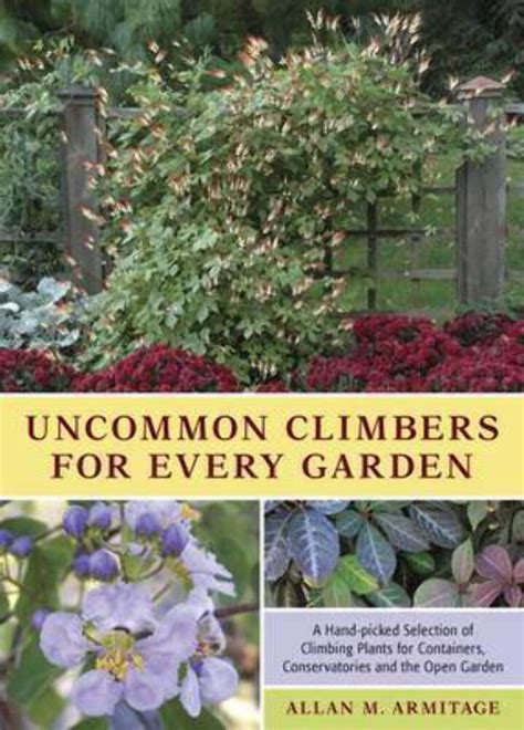 Uncommon Climbers For Every Garden A Hand Picked Selection Of Climbing