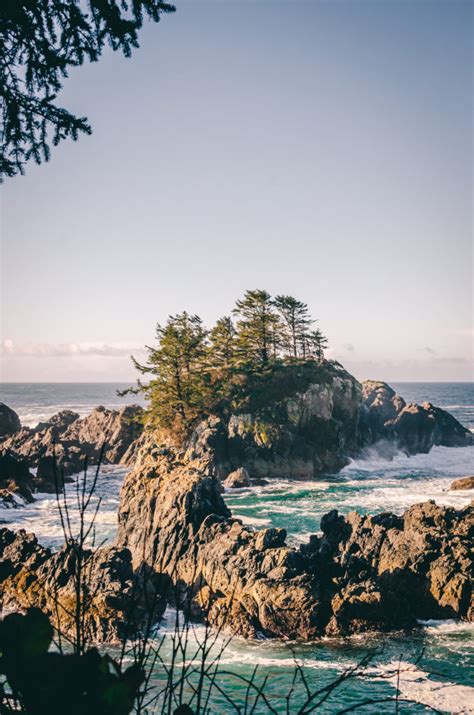 The Wild Pacific Trail in Ucluelet, BC - The Driftwoods Family