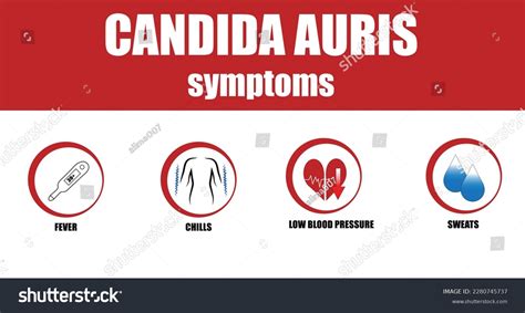 Candida Auris Symptoms Illness Deadly Disease Stock Vector (Royalty Free) 2280745737 | Shutterstock