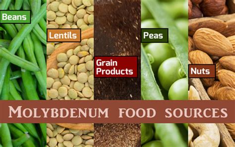 Molybdenum An Essential Mineral For Biological Functions Optimal