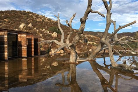 Bruma Valle De Guadalupe Todo Lo Que Debes Saber Tips Para Tu Viaje