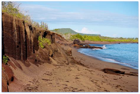 Punta Cormorant Floreana Island Galapagos Punta Cormor Flickr