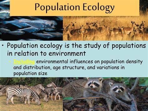 Ppt Levels Of Organization Organism Population Community Ecosystem Biome Powerpoint