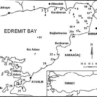 The list of anomura species in Turkish Seas reported up to date. | Download Table