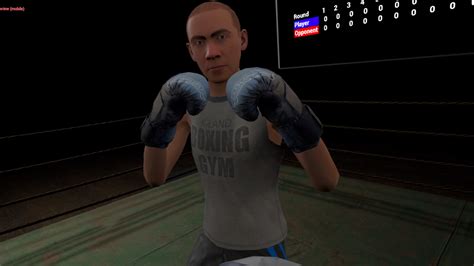 True Boxing VR on Steam