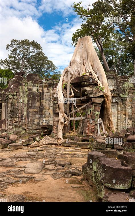 Preah Khan Sacred Sword Angkor Unesco World Heritage Site Cambodia