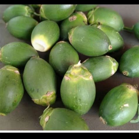 Jual Buah Pinang Segar Satuan 1 Biji Shopee Indonesia