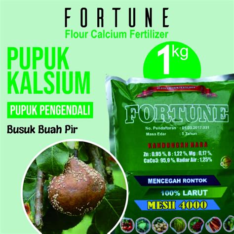 Jual Murah Pupuk Tepung Fortune 1 Kg Pupuk Daun Kuning Buah Pir