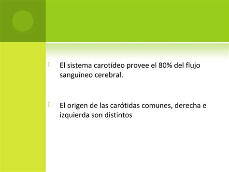 Vascularizaci N Del Sistema Nervioso Ppt Descarga Gratuita