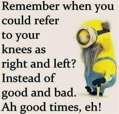 Sarcastically Funny Minion Quotes And Sayings