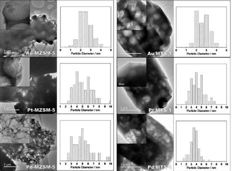 Tem Micrographs And Particle Size Distribution Of The Encapsulated