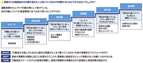 第3回 肥満症治療の基盤：食事・運動・行動療法の重要性 糖尿病リソースガイド