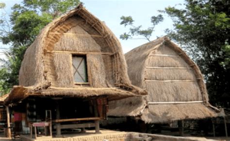 Mengenal Rumah Adat Suku Sasak Bale Tani Dan Bale Lumbung Otosection