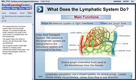 Ch 28b Infectious Diseases Of The Cardiovascular And Lymphatic Systems