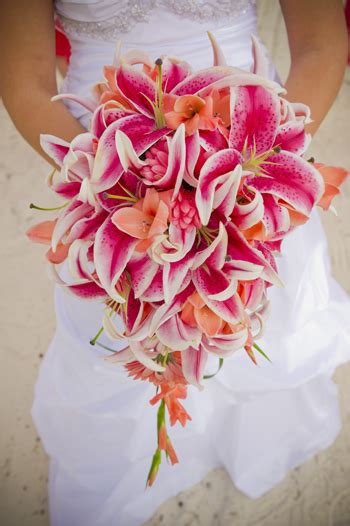 Memorable Wedding: Tropical Wedding Flowers - 10 Tropical Flowers to ...