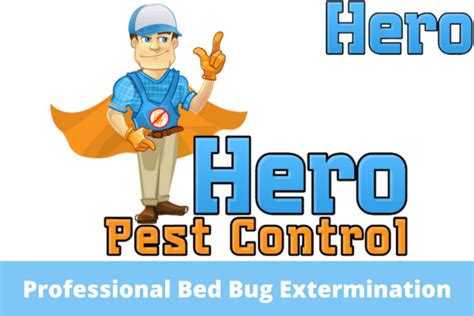 Professional Bed Bug Extermination Services For Beds And Sofas